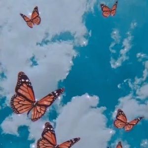 Meet your Posher, Lyla